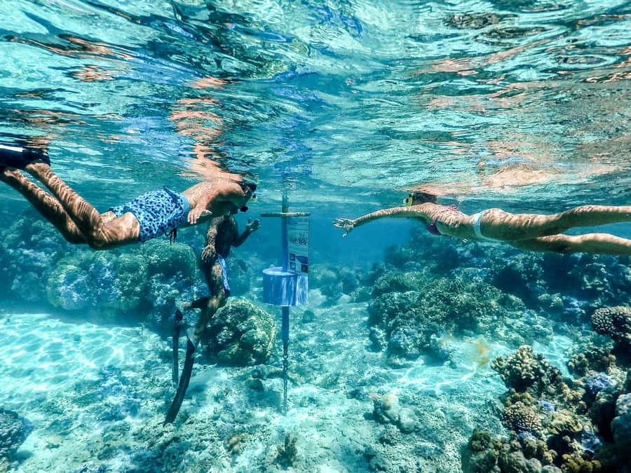 Bora Bora: Lagoon Tour and Snorkeling Experience - What the $138 price includes
