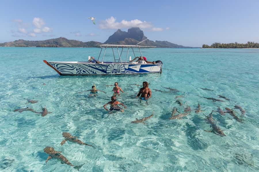 Bora Bora: Lagoon Tour and Snorkeling Experience - Who should book this lagoon tour