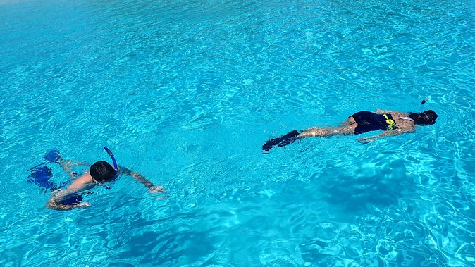 Bora Bora: Luxury Private Half Day Snorkeling Tour - What the guide adds to the experience