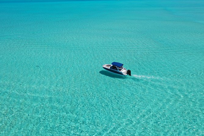 Bora Bora: Luxury Private Half Day Snorkeling Tour - Who will enjoy this Bora Bora snorkeling cruise