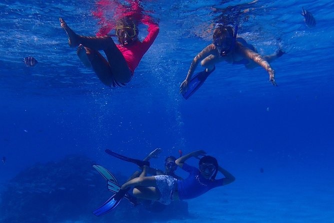 Bora Bora: Luxury Private Half Day Snorkeling Tour - Booking advice, weather, and cancellation