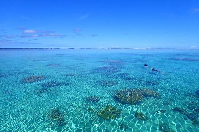 Bora Bora: Luxury Private Half Day Snorkeling Tour - Finding manta rays and eagle rays in Bora Bora’s lagoon