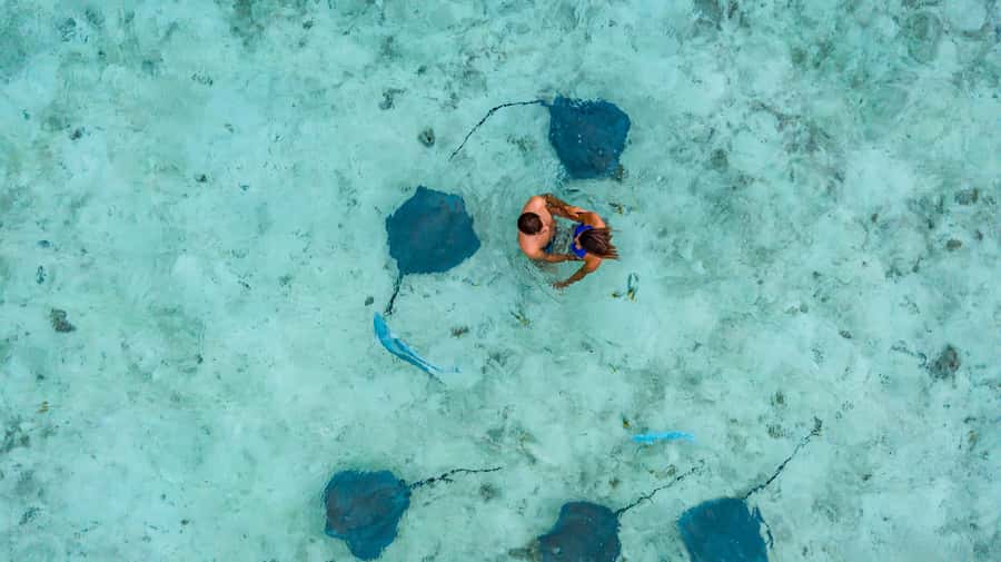 Bora Bora Luxury Tour and Beach Picnic - Who should book this adults-only outing?