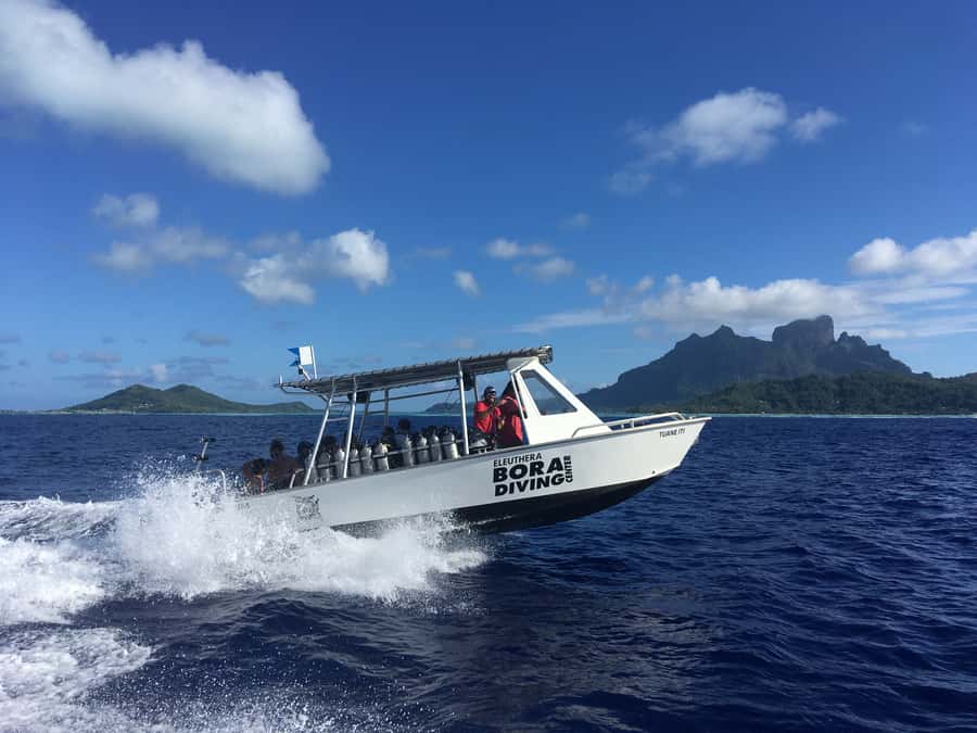 Bora Bora: Morning 2 tank dive for certified divers - Tea, cookies, and the short surface break