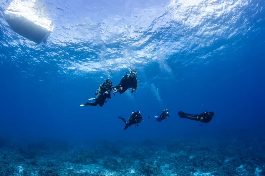 Bora Bora: Morning 2 tank dive for certified divers - The instructor and the small-group advantage