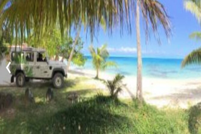 Bora Bora Off-Road Sightseeing Tour - Why the three-hour format works for cruise passengers