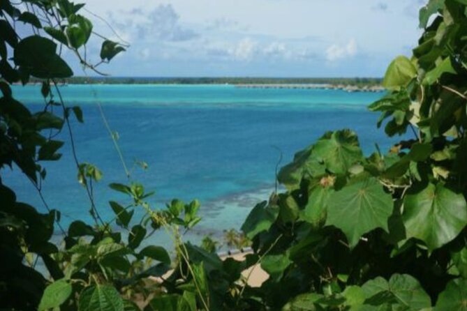 Bora Bora Off-Road Sightseeing Tour - Is $148.94 a fair price?
