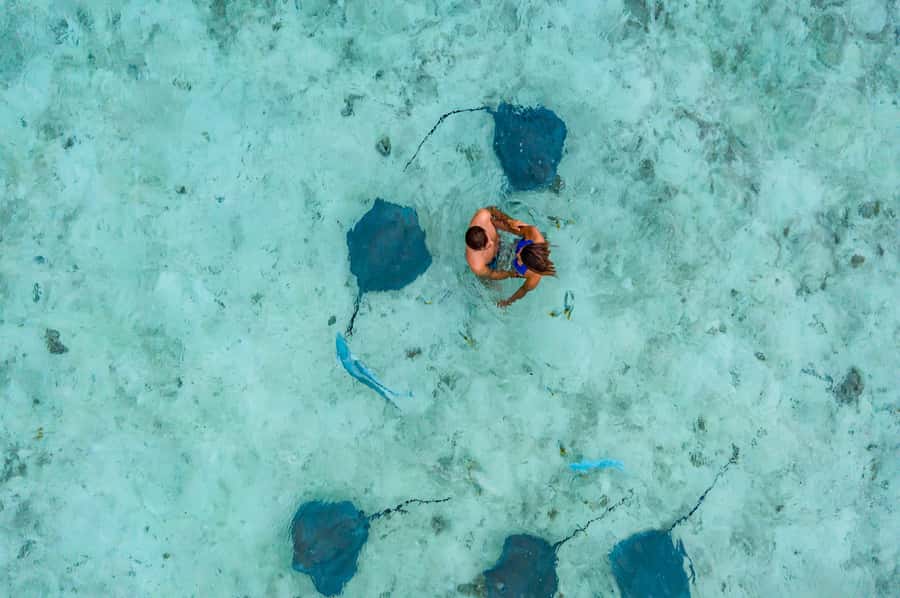 Bora Bora: Private Boat Tour with Snorkeling and Drinks - Snorkeling the coral gardens
