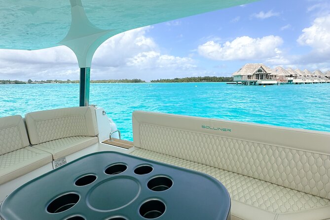 Bora Bora Private Solar Boat Experience - Reef sharks and eagle rays