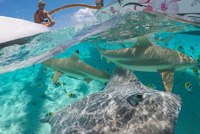 Bora Bora Snorkel Cruise by Polynesian Outrigger Canoe with BBQ Island Lunch - Key points to know before you go