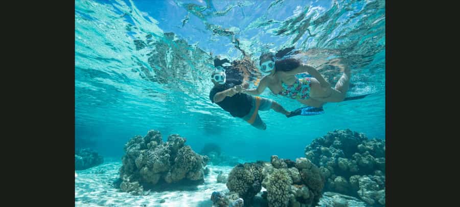 Bora Bora: Snorkeling and Fishing Tour with Lunch Option - Fishing in the lagoon or beyond the reef
