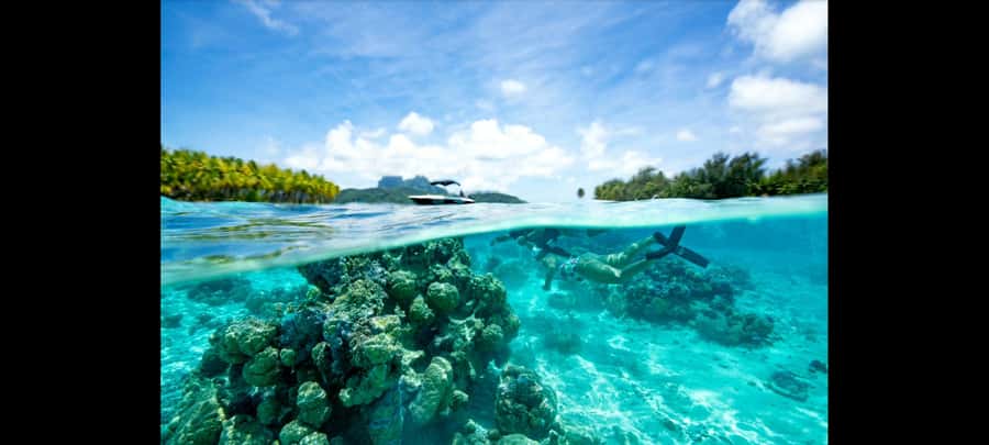 Bora Bora: Snorkeling and Fishing Tour with Lunch Option - The snorkeling route, stop by stop