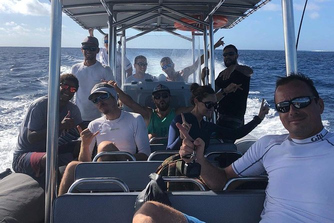 Bora Bora Whale Watching - Swimming near the whales