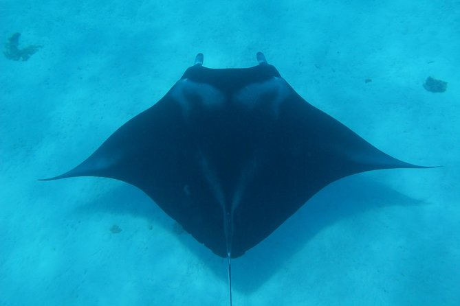 Combo Diving and Snorkeling Full Day Tour - A smart option when not everyone scuba dives