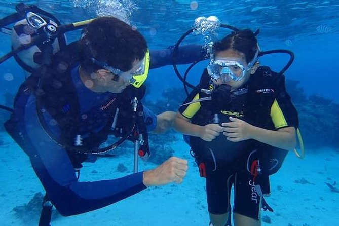 Combo Diving and Snorkeling Half-Day Tour - Key points to know before booking