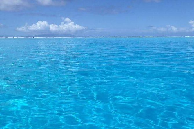 Combo Diving and Snorkeling Half-Day Tour - One morning, three ways to see Bora Bora