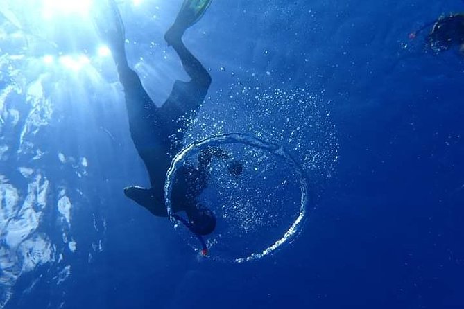 Combo Diving and Snorkeling Half-Day Tour - Equipment, towels, and the small practical comforts