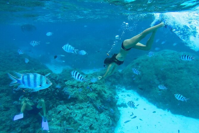 Combo snorkeling + motu lunch + jet ski group tour full day - What the boat ride adds to the day