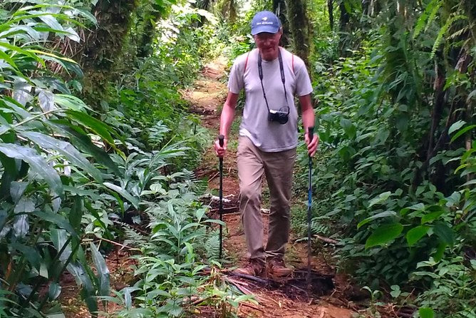 Crater Lake Hike and Swim - The real attraction: a volcanic lake beyond Upolu’s easy stops