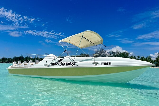Crazy sea horse Bora Bora Comfortable boat, snorkeling and lunch - A fast start on Bora Bora’s lagoon