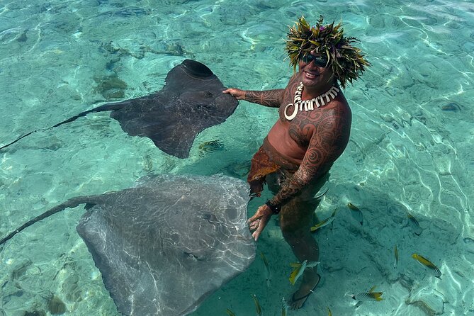 Crazy sea horse Bora Bora Comfortable boat, snorkeling and lunch - Lunch on a motu gives the day a clear finish