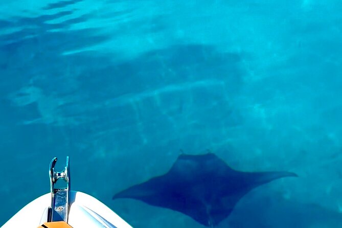 Crazy sea horse Bora Bora Comfortable boat, snorkeling and lunch - Is $200 a fair price?