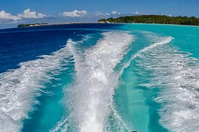 Crazyseahorseborabora Comfortable boat , sensational snorkeling . - How the 3.5-hour itinerary feels