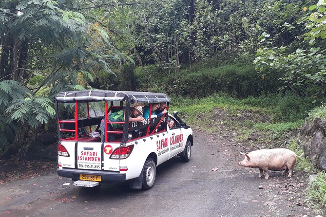 Crossing Island of Tahiti 4x4 Mountain, Waterfall, River, Basins - River crossings and freshwater basins