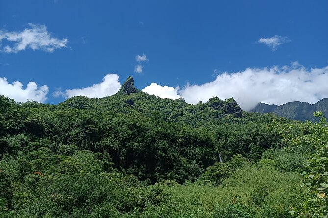 Découvrez le Mana durant la traversée de Tahiti en 4x4 Safari - Sacred places and the cultural side of the route