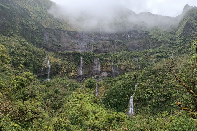 Découvrez le Mana durant la traversée de Tahiti en 4x4 Safari - Who will enjoy this tour most