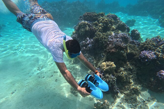 DEEP SEA FISHING 1/2 day (private group) - The fish you may be hunting