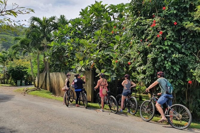 'Discover' Rarotonga Cycling Tour with Lunch - What makes this four-hour ride worthwhile