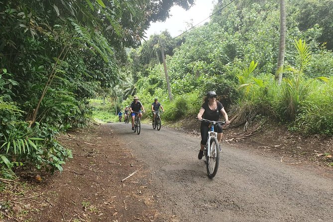 'Discover' Rarotonga Cycling Tour with Lunch - Local fruit, coconut, and useful island stories