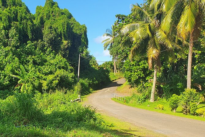 'Discover' Rarotonga Cycling Tour with Lunch - Why the $76.95 price can make sense