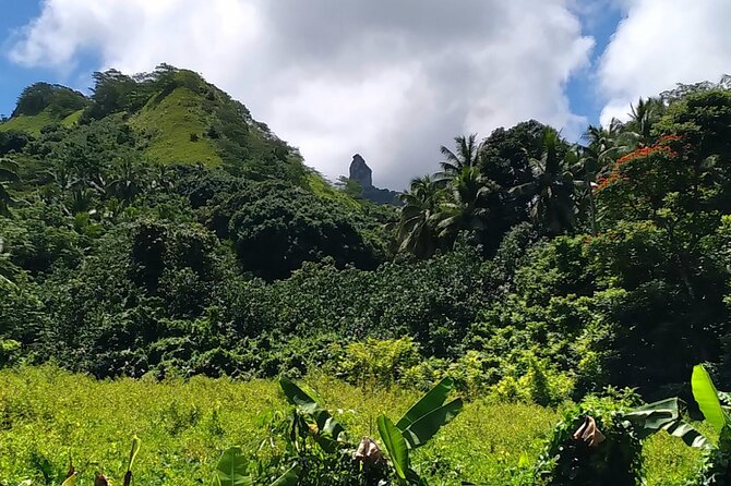 'Discover' Rarotonga Cycling Tour with Lunch - How weather can change the morning