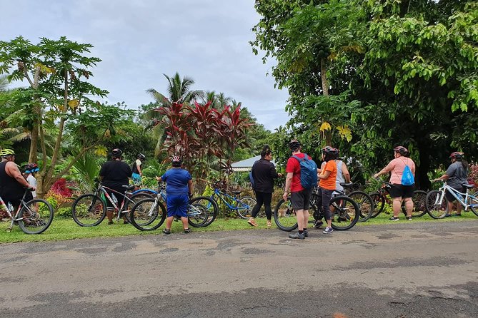 'Discover' Rarotonga Cycling Tour with Lunch - Who will enjoy this Rarotonga cycling tour