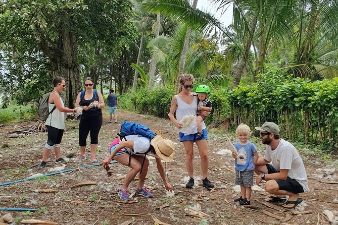 'Discover' Rarotonga Cycling Tour with Lunch - Arorangi’s back roads and village scenes