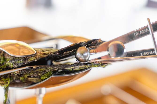 Discover the black pearl in Bora Bora - Why this pearl experience feels different from a standard Bora Bora tour