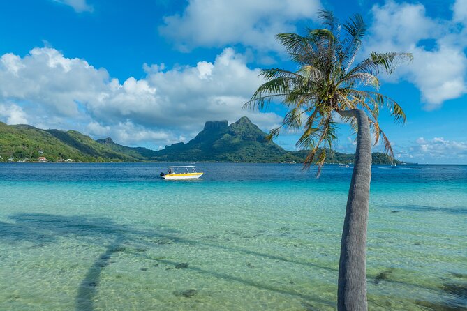 Discover the black pearl in Bora Bora - Fruit, drinks, and Mount Otemanu views