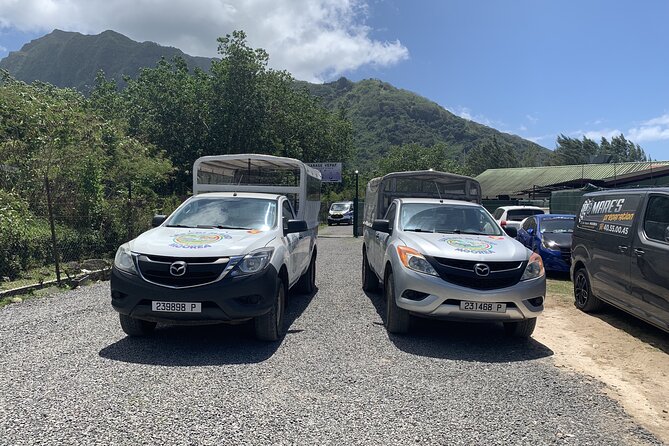 Discovering Moorea from Tahiti in 4x4 with the Ferry Terevau - Pineapple becomes juice, wine, and jam at Manutea Tahiti