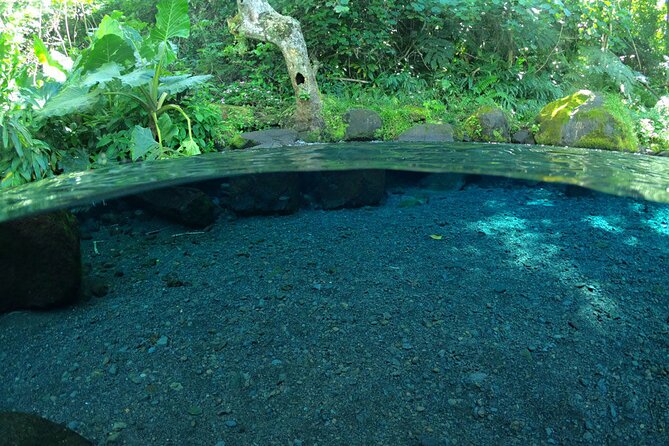 Discovering the emblematic sites of Tahiti - A quiet finish at Parc Vaipoopoo