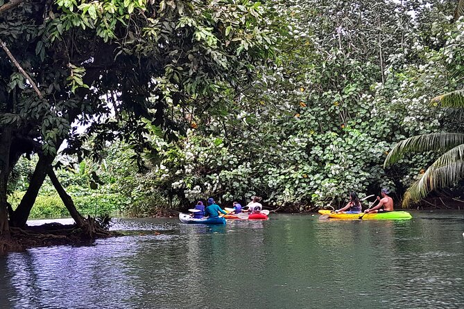 Discovery in Kayaking of the Faaroa River in Raiatea - The Faaroa River is the whole point