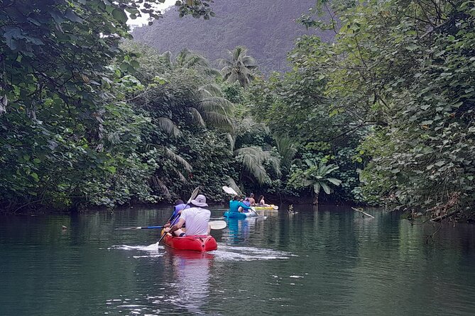 Discovery in Kayaking of the Faaroa River in Raiatea - A gentle paddle with useful back support