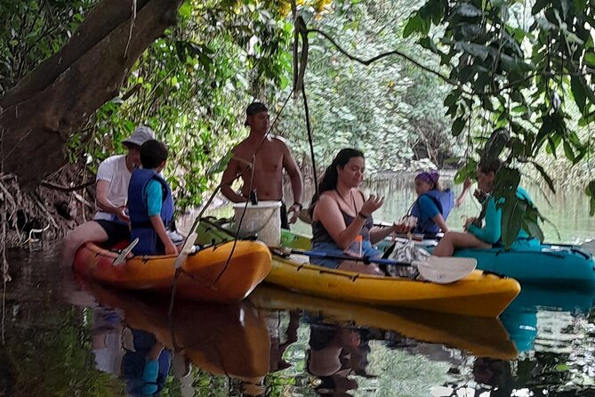 Discovery in Kayaking of the Faaroa River in Raiatea - Small-group value, with one detail to confirm