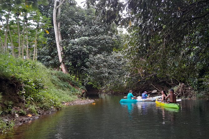 Discovery in Kayaking of the Faaroa River in Raiatea - Weather, cancellations, and timing