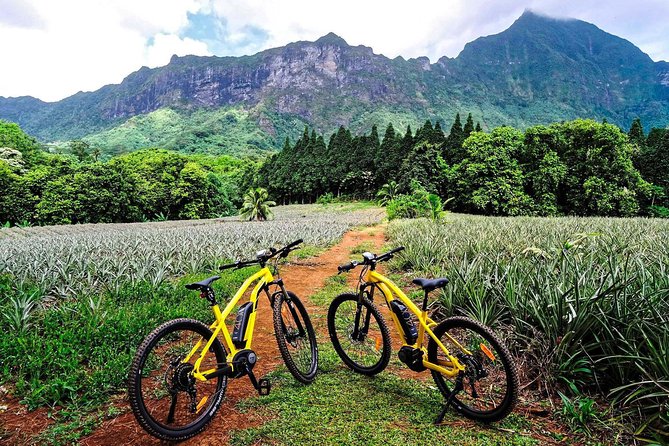 E-Bike Moorea Electric Bike Rental Moorea - Why an e-bike fits Moorea so well