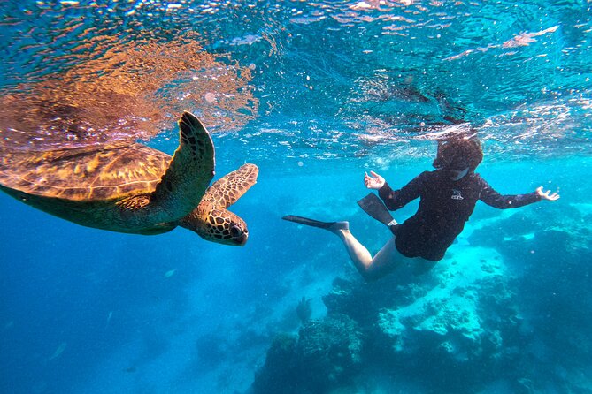 Eco Friendly Sea Scooter Turtle Tour in Rarotonga - Why the small group changes the outing