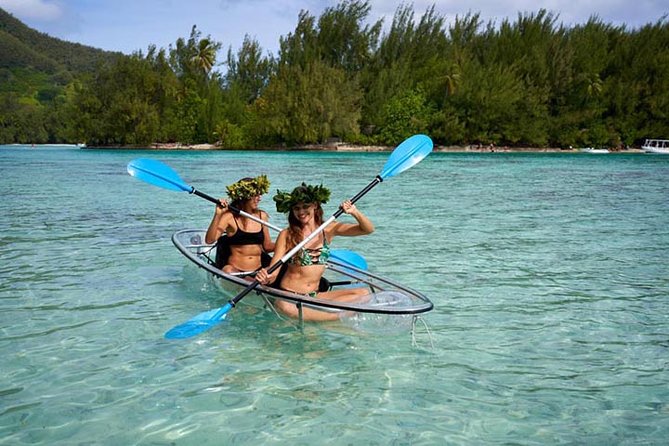 Eco guided excursion to the lagoon of Moorea in transparent kayak 1/2 day morning - Why this Moorea kayak trip deserves a place on your schedule