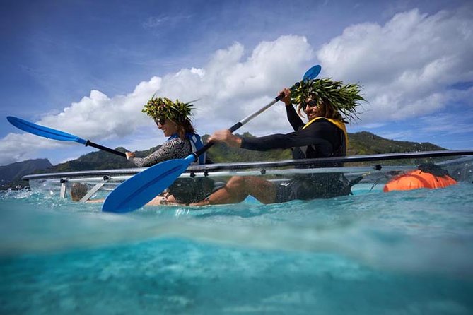 Eco guided excursion to the lagoon of Moorea in transparent kayak 1/2 day morning - What the price of $91.10 really covers