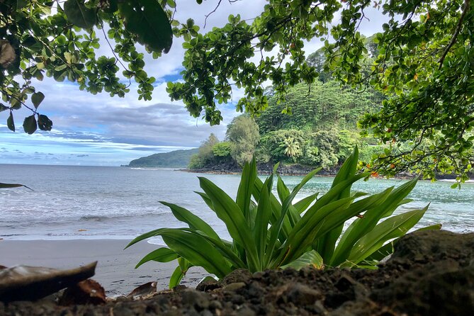 Electric Bike Rental Moorea - Choosing four hours or eight hours